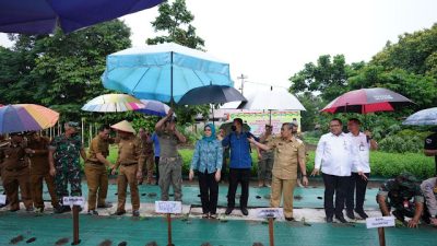 Gubri Ajak Masyarakat Tanam Cabai di Pekarangan