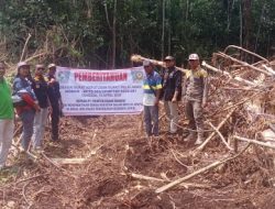 WALHI Riau Sorot HGU PT TUM di Pulau Mendol, Wamen ATR Segera Proses