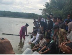 Dosen Prodi Budidaya Perairan Faperta UIR Lakukan PKM di Desa Pulau Baru Kuansing