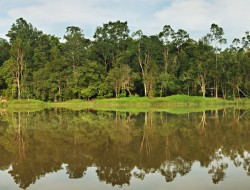 PHR Konsisten Jaga Lingkungan Hidup di Riau