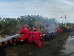 Terjun Langsung ke Lokasi, PHR Bantu Atasi Kebakaran Hutan Riau di Musim Kemarau