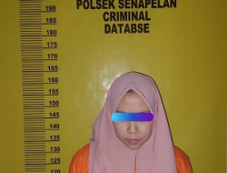 Gelapkan Uang Perusahaan Sebesar Rp.332 Juta, Seorang Karyawan Hotel di Pekanbaru Diamankan Polisi