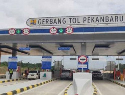 Apkasindo Dorong Pemerintah Sederhanakan Biaya Angkutan Truk Sawit