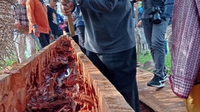 Pacu Jalur, Kemeriahan Rakyat dan Tradisi yang Terus Menyala