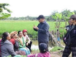 Petani Padi Desa Harapan Baru Ajukan Kerjasama Garap Garap Lahan Sawah di Areal Milik PHR