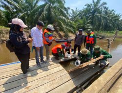 PHR Dukung Program Perhutanan Sosial Desa Siarang Arang Rohil