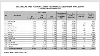 Pleno PPK di 14 Kecamatan Selesai, Afni-Syamsurizal Tumbangkan Petahana